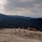 Nara: Mt. Wakakusa Family Picnic Trail with Guide - What Makes This Tour Stand Out