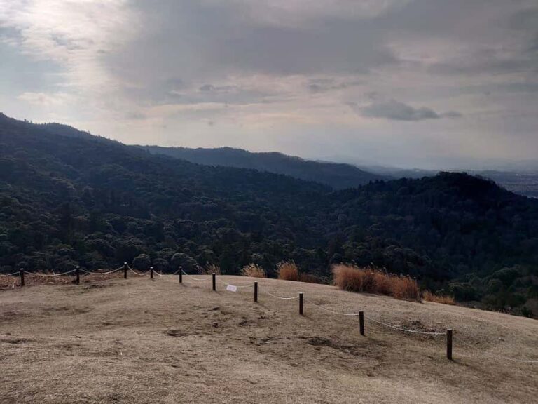 Nara: Mt. Wakakusa Family Picnic Trail with Guide - What Makes This Tour Stand Out