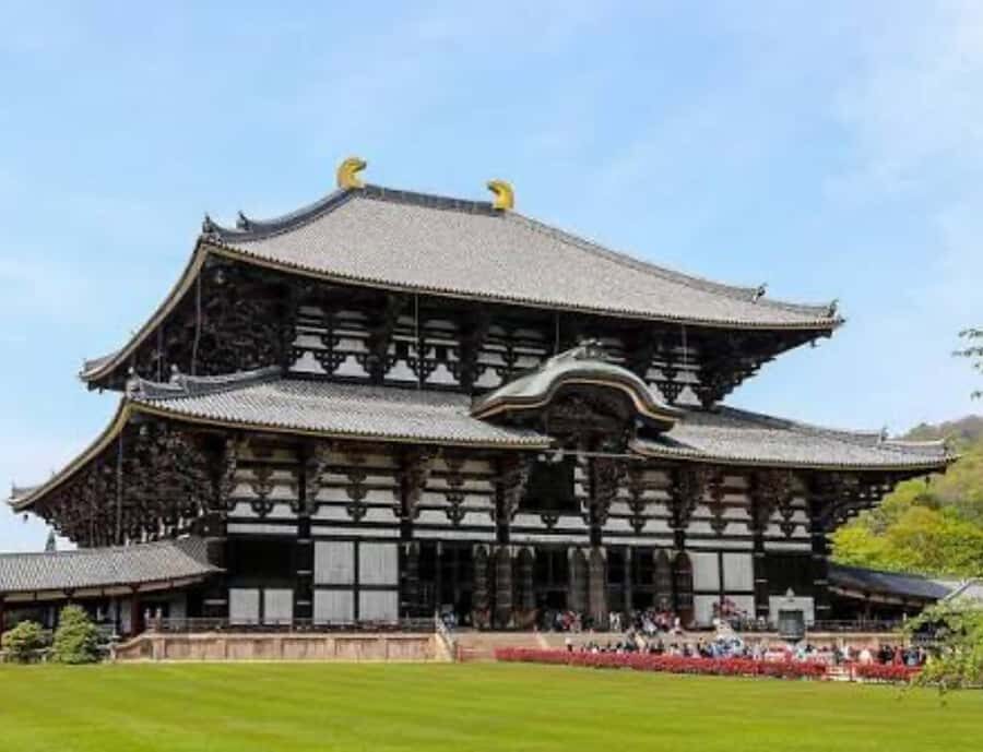 Nara: Private Full-Day Tour with Licensed Guide - Who Should Book This Tour?