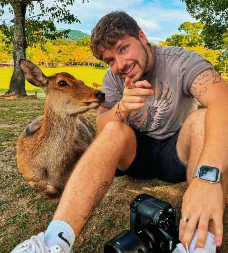 Nara: Professional Photography & Guided Walking Tour - Who Will Love This Tour?