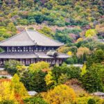 Nara Revealed: Ancient Temples, Sacred Deer & Local Stories - The Overall Experience: What It Means for You