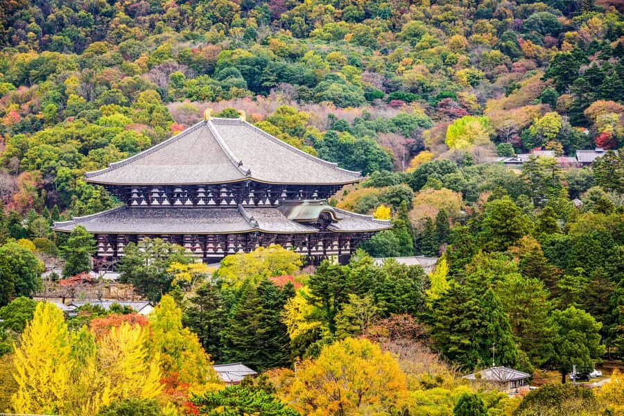 Nara Revealed: Ancient Temples, Sacred Deer & Local Stories - The Overall Experience: What It Means for You