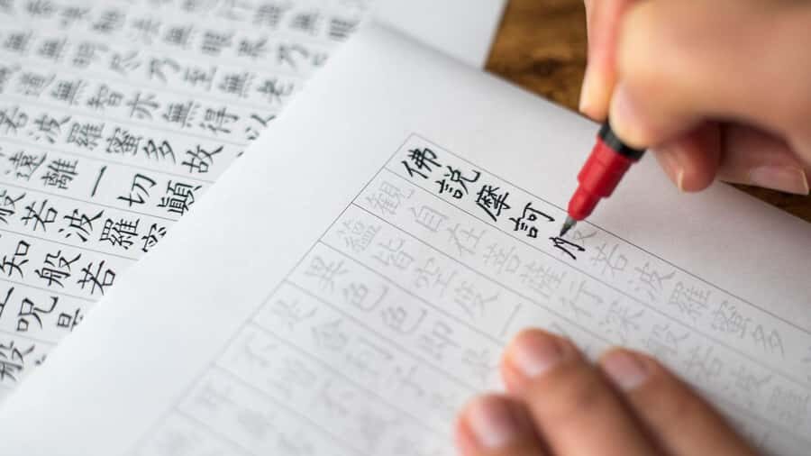 Nara: Temple-Shrine Walking Tour+Zen Calligraphy Experience - Who Will Benefit Most?