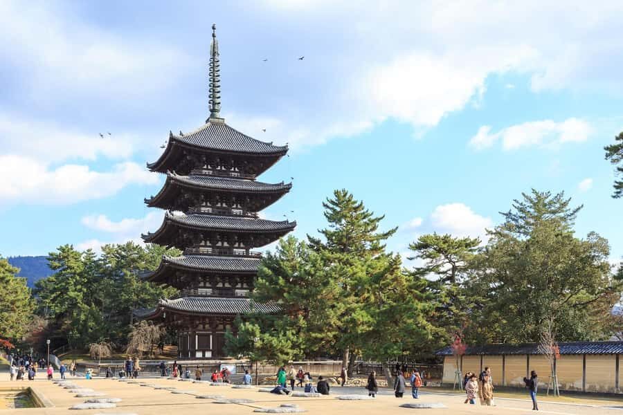 Nara: The Origin - Walking Tour - Practical Details and Value