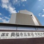 Nara & Uji Private Day Tour - Kyoto Comfort Culture Focused - Practical Aspects & Value