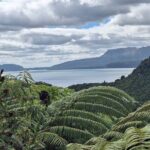 Nature at its best Lake Tarawera Treetop Walk and Forest Spas - Exploring the Itinerary: Why Each Stop Matters
