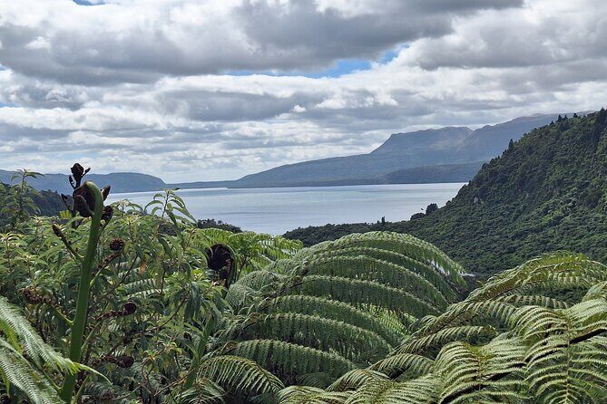 Nature at its best Lake Tarawera Treetop Walk and Forest Spas - Exploring the Itinerary: Why Each Stop Matters