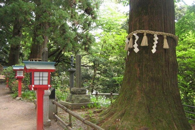Nature tour at Mt. Takao - The Itinerary in Detail: What to Expect