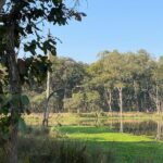 Nature Walk in Chitwan Jungle Safari with Guide - Final Thoughts