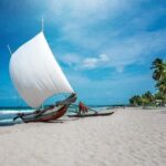 Negombo City And Fishing Village Private Day Tour From Colombo - Practical Details & Tips