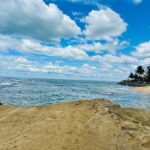 Negombo City Explorer Adventure by Tuk-Tuk (Included Pickup) - Who Will Love This Tour?