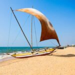 Negombo Lagoon Boat Tour, Hotel Pickup (Monkey, Mangrove) - What Makes This Tour Stand Out?