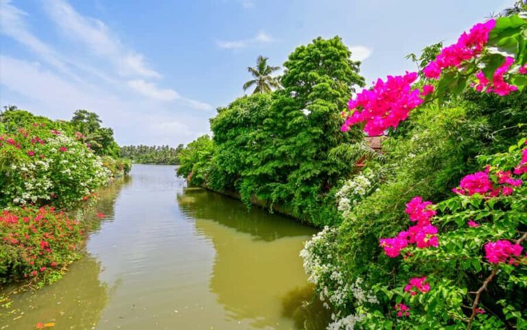 Negombo Lagoon & Dutch Canal Sunset Boat Tour - What to Expect from the Tour
