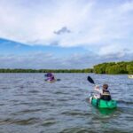 Negombo private city-Lagoon: Sunrise or Sunset Kayaking Tour - What to Expect on the Kayaking Tour