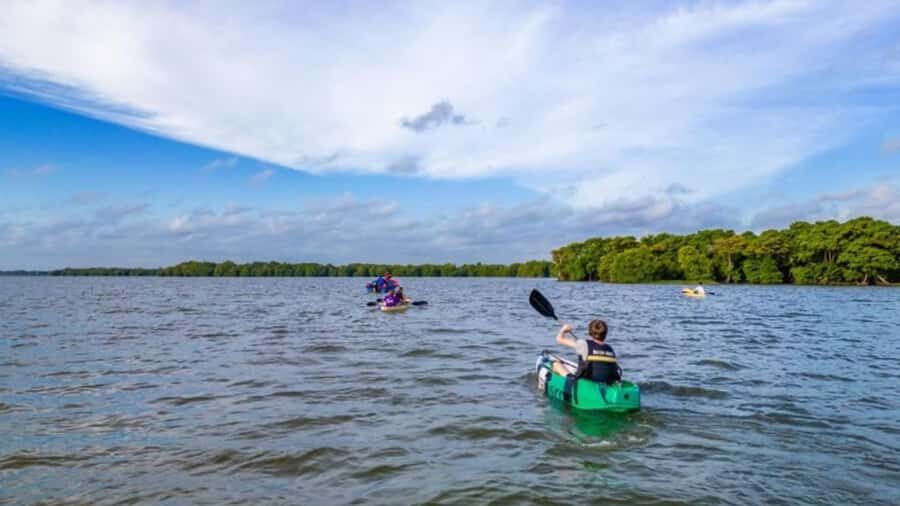 Negombo private city-Lagoon: Sunrise or Sunset Kayaking Tour - What to Expect on the Kayaking Tour