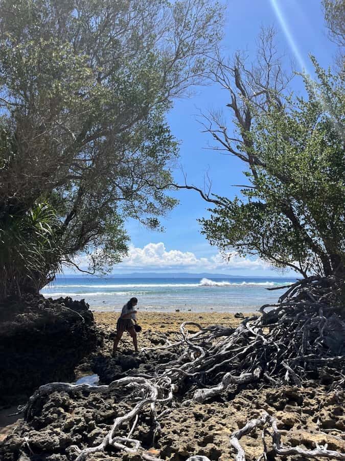 Neil Island: Shorewalk, Tidepooling & Marine Microscopy Tour - In Summary: Who Will Appreciate This Tour?