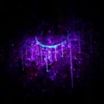 Nelson: Brook Waimrama Sanctuary Guided Night Walk - Why This Tour Delivers Value