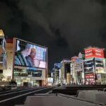 Neon Nights: Bar Hopping Through Hakata Guided Tour Explore - FAQ