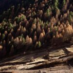 Nepal: Manaslu Circuit Trek with Guide and Permits - What Makes This Trek Special