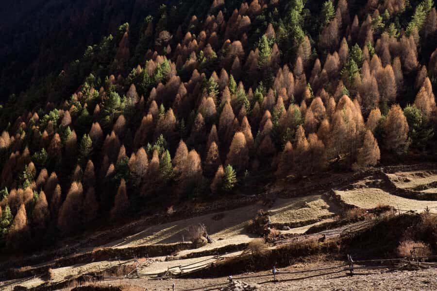 Nepal: Manaslu Circuit Trek with Guide and Permits - What Makes This Trek Special