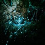 New Zealand: Starburst Cathedral in Milky Way Glowworm Cave - Why This Tour is Worth It