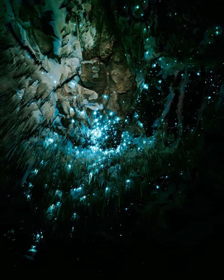 New Zealand: Starburst Cathedral in Milky Way Glowworm Cave - Why This Tour is Worth It