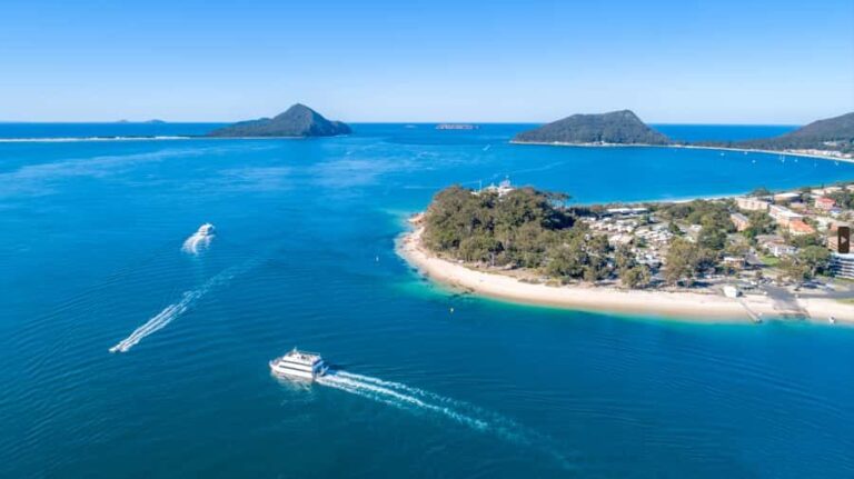 Newcastle: Port Stephens day tour. Dolphins, hike, swim. - Practical Details & Value