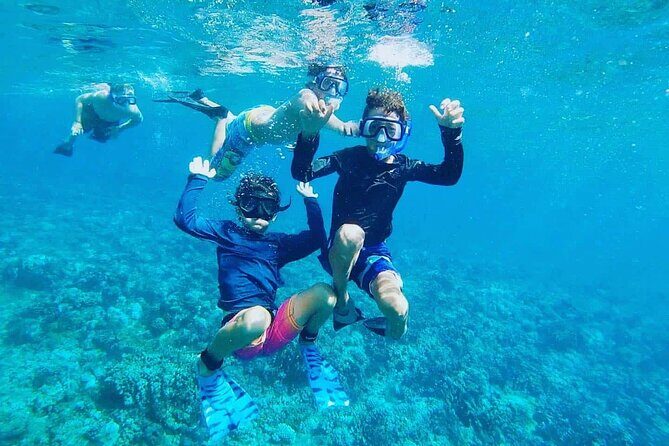 Nha Trang Bay: Private Half-Day Snorkeling Tour at Coral Reef - What to Expect from Your Private Snorkeling Tour