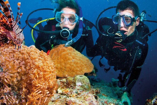 Nha Trang Coral Reefs Scuba Diving Experience with Lunch - Considerations and Possible Drawbacks