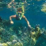 Nha Trang Mun Island Snorkeling Coral Reef Tour with BBQ Lunch - What Travelers Say