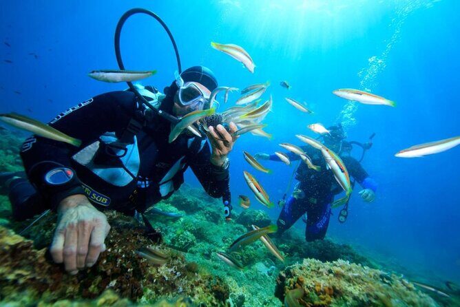 Nha Trang Scuba Diving Experience : Two Dives with Lunch - Boarding and Initial Dive Briefing