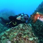 Nha Trang Scuba Diving Tour 2 Dives and Lunch Included - What to Expect from the Tour: A Detailed Breakdown