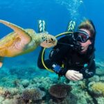 Nha Trang Scuba Diving Tour: 2 Dives for Beginners at Marine Park - The Value of the Tour’s Features