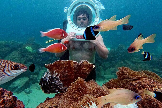 Nha Trang Sea Walking Tour and Local Cuisine - Practical Tips for Your Tour Experience