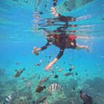 Nha Trang: Snorkeling at Marine Park with Lunch - Analyzing the Itinerary: What to Expect at Each Stop