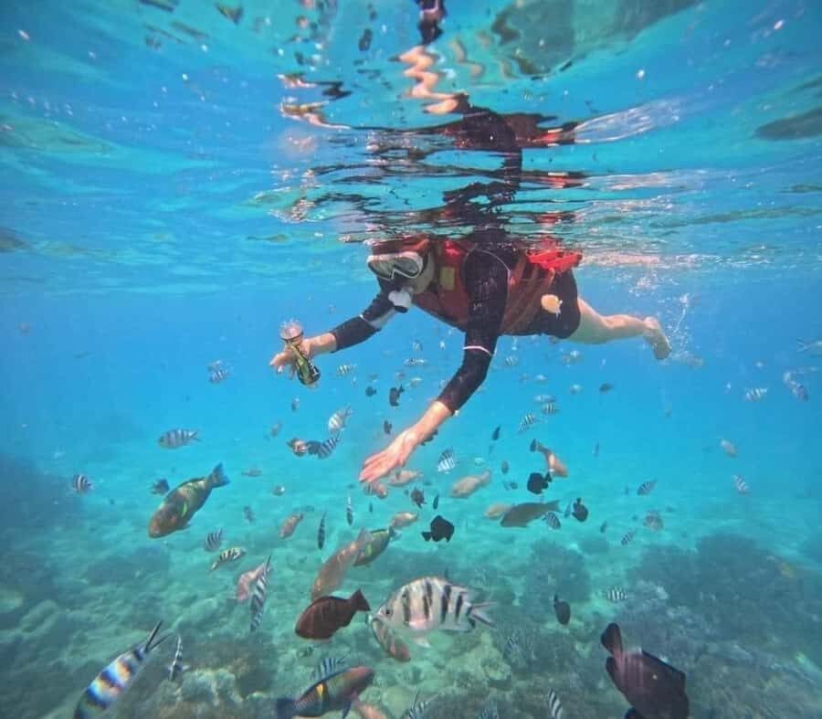 Nha Trang: Snorkeling at Marine Park with Lunch - Analyzing the Itinerary: What to Expect at Each Stop