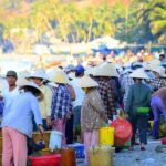 Nha Trang to Mui Ne - Private Transfer - The Pickup Experience