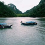 Night Safari Mangrove Tour with Guide & BBQ Buffet - Why You Should Consider This Tour