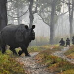 Night Stay in Chitwan National Park, 2 Nights 3 Days Package - Final Thoughts