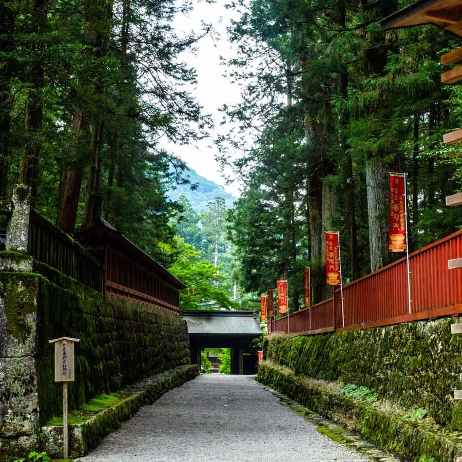 Nikko: Birdwatching Tour with Shrine and Temple Visit - Cultural Highlights: Nikko’s UNESCO Heritage Sites