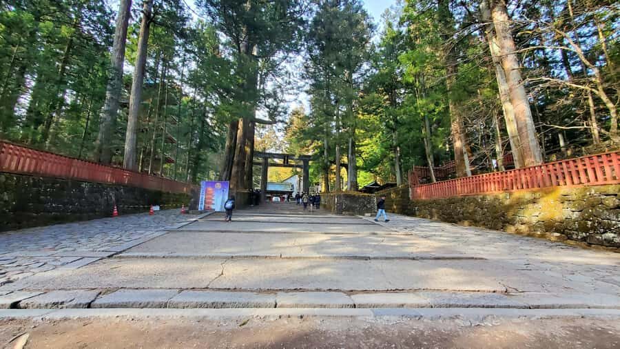 Nikko Full-Day Private Tour from Tokyo (Customizable) - The Itinerary in Detail