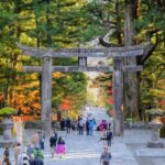 Nikko Full-Day Tour from Tokyo  UNESCO Shrine & Kegon Falls - A Deep Dive into the Nikko Full-Day Tour
