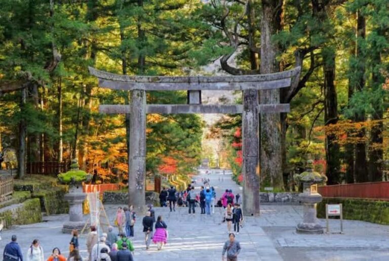 Nikko Full-Day Tour from Tokyo  UNESCO Shrine & Kegon Falls - A Deep Dive into the Nikko Full-Day Tour