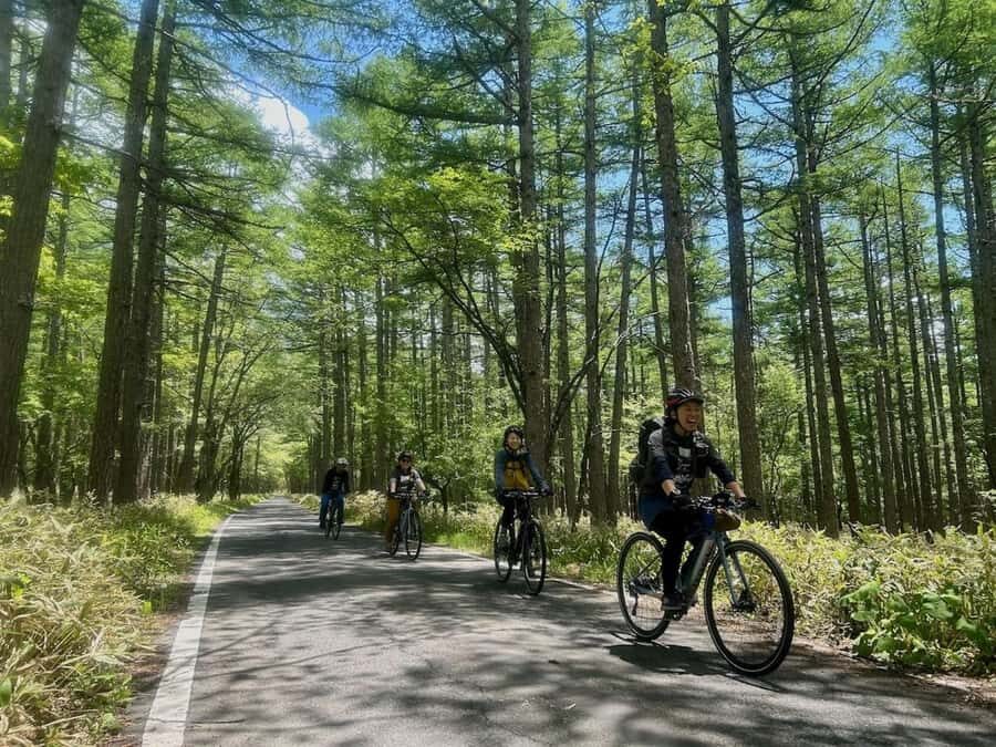 Nikko: Oku-Nikko 3-hour Cycling Tour (Half-day) No lunch - Who Should Consider This Tour?