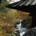 Nikko Private Day Tour  Temples, Nature & Hidden Gems - Why This Tour Offers Great Value