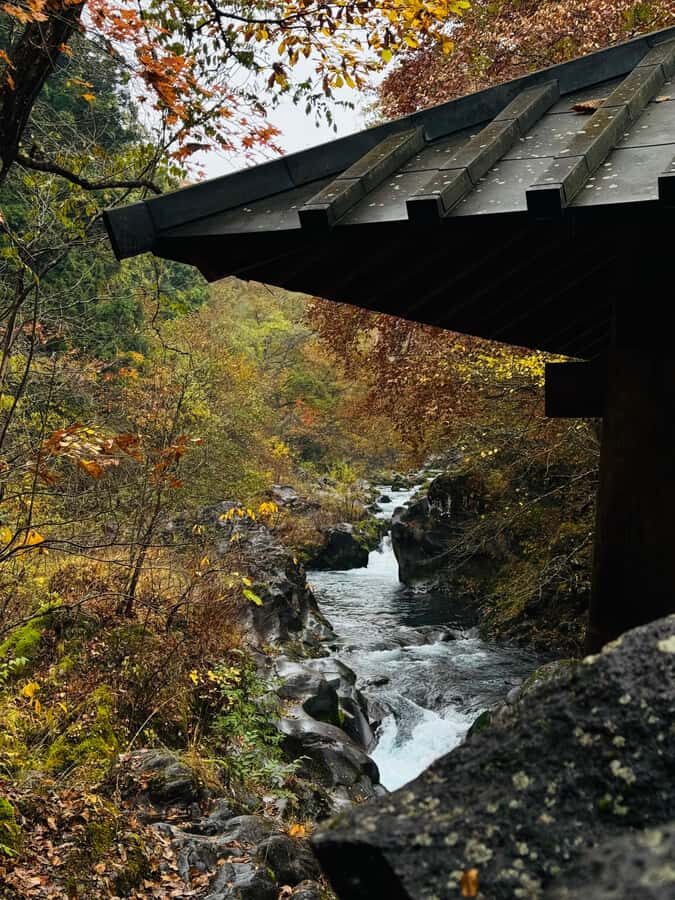 Nikko Private Day Tour  Temples, Nature & Hidden Gems - Why This Tour Offers Great Value