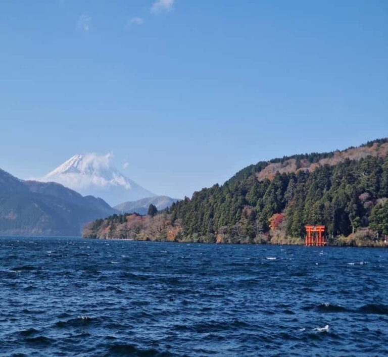 Nikko: Private Hakone Nature & Culture Day Trip - Why Choose This Tour?