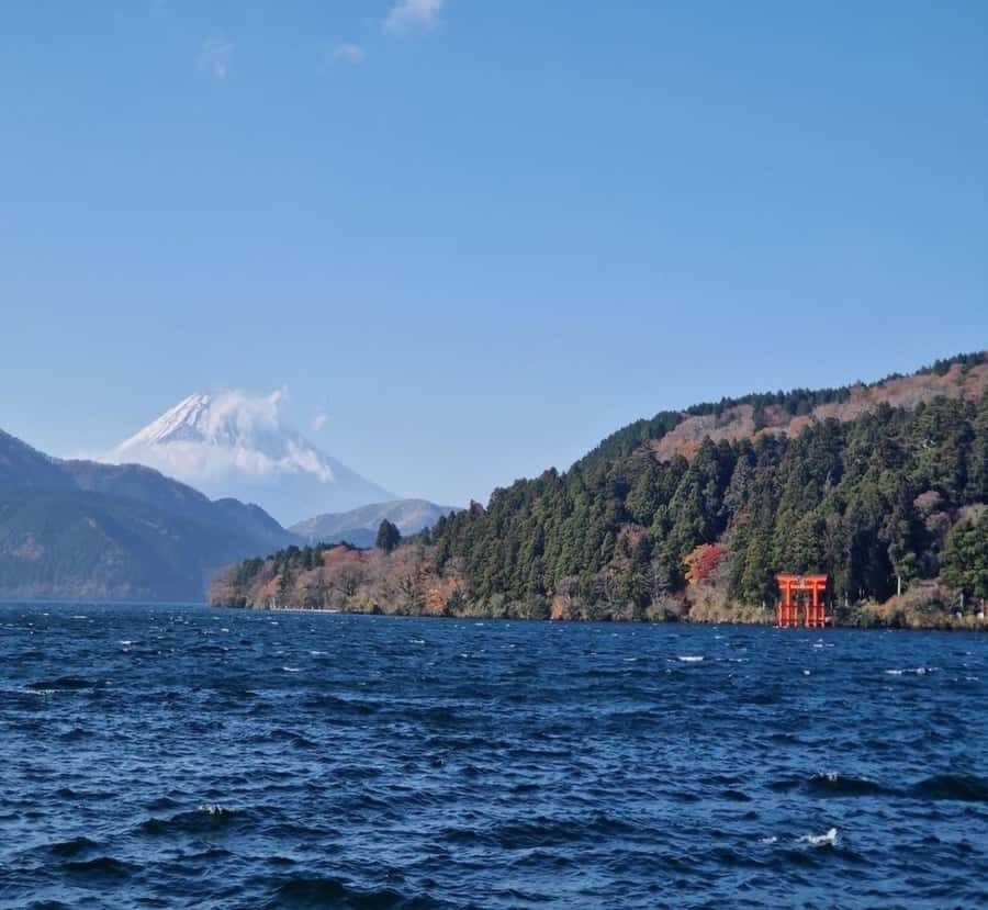 Nikko: Private Hakone Nature & Culture Day Trip - Why Choose This Tour?