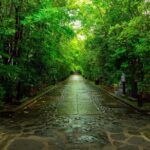 Nikko: Sacred Mountains, Shoguns, & Japans Spiritual Heart - What Does the Tour Include and What Doesn’t?