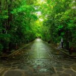 Nikko: Sacred Mountains, Shoguns, & Japans Spiritual Heart - Who Should Consider This Tour?